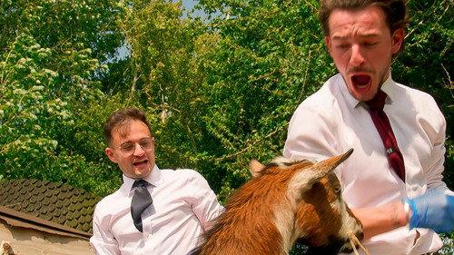 The Apprentice Season 20 Episode 8 - Discount Buying: Take Two