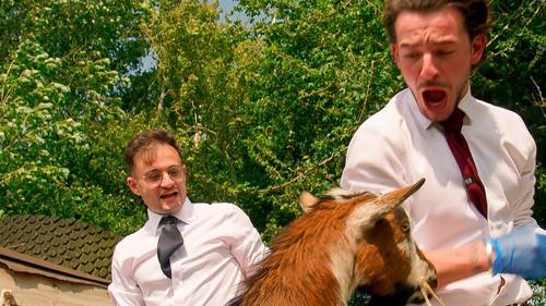 The Apprentice Season 20 Episode 8 - Discount Buying: Take Two