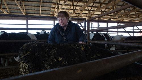 The Incredible Dr. Pol Season 15 Episode 11 - Little Pol Peep