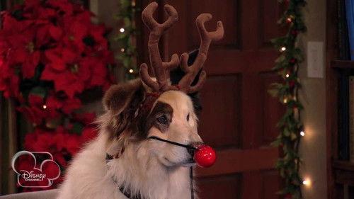 Dog with a Blog Season 1 Episode 6 - Bark! the Herald Angels Sing