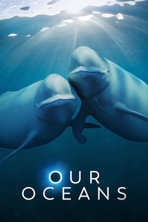 Our Oceans poster