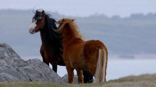 Wales: Land of the Wild Season 1 Episode 1 - The Return of The Sun