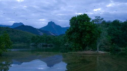 South America's Weirdest Animals Season 1 Episode 1 - Wild Mutants