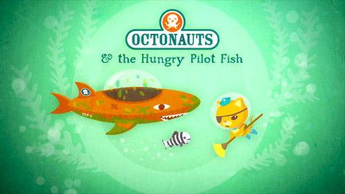 Octonauts Season 1 Episode 23 - The Hungry Pilot Fish