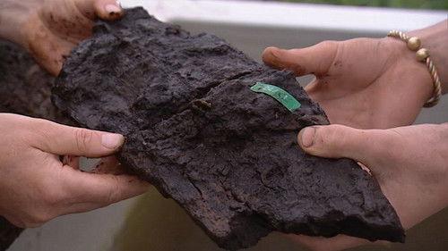 Time Team Season 7 Episode 9 - A Bronze-Age Barrow and Walkway - Flag Fenn, Cambridgeshire