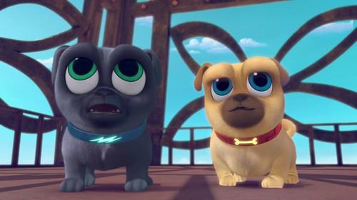 Puppy Dog Pals Season 1 Episode 2 - A.R.F.
