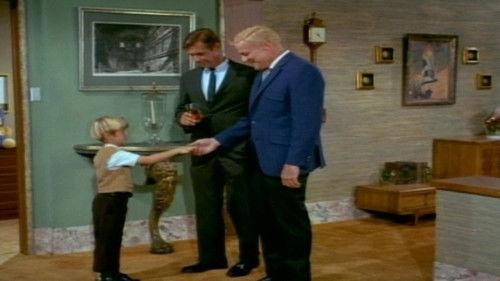 Family Affair Season 2 Episode 12 - Our Friend Stanley