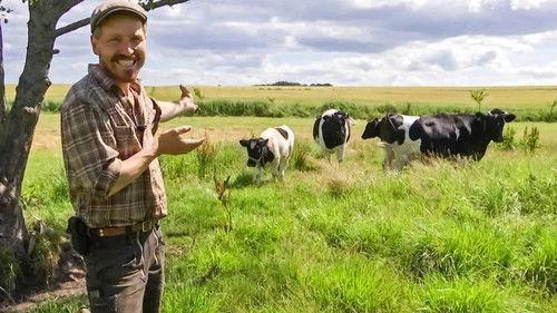 Frank & Kastaniegaarden Season 26 Episode 11 - Episode 11