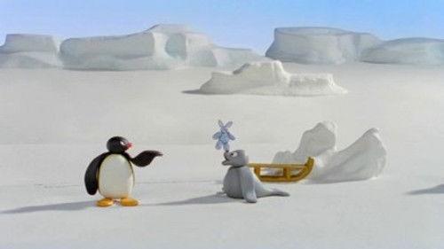 Pingu Season 5 Episode 7 - Pinga's Lost Rabbit