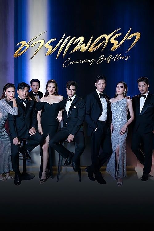 Conniving Bedfellows poster