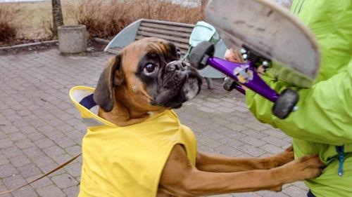 From bully to best friend Season 2 Episode 2 - Episode 2