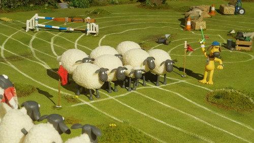 Shaun the Sheep Championsheeps Season 1 Episode 10 - Steeplechase