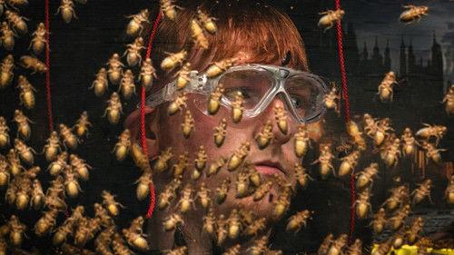 I'm a Celebrity...Get Me Out of Here! Season 25 Episode 8 - Episode 8