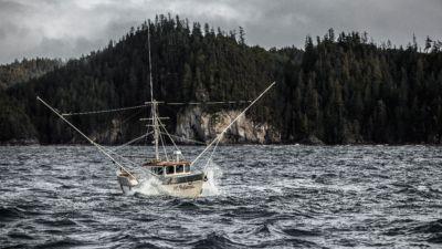 Background image for The End of the End