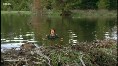 Andy's Wild Adventures Season 2 Episode 19 - Beavers