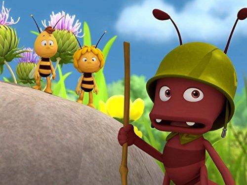 Maya the Bee Season 1 Episode 10 - Maya to the Rescue
