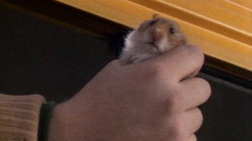 The Wonder Years Season 2 Episode 8 - Hiroshima, Mon Frere