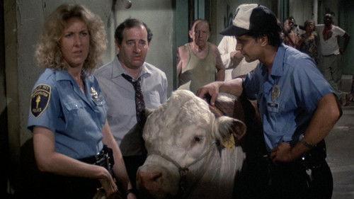 Hill Street Blues Season 3 Episode 2 - Domestic Beef