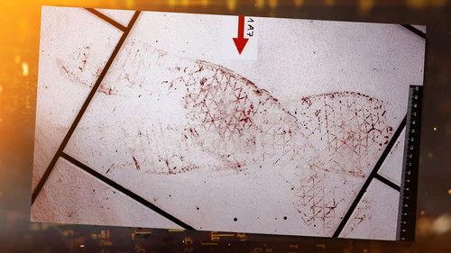 Ermittler! Season 8 Episode 10 - Episode 10