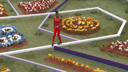 Big Brother Season 23 Episode 19 - Live Eviction 6
