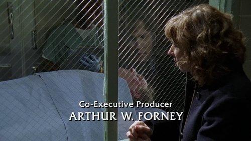 Law & Order Season 18 Episode 9 - Executioner
