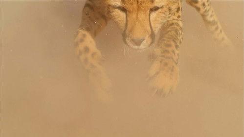 undefined Season 1 Episode 1 - Episode 1