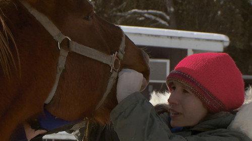 The Incredible Dr. Pol Season 11 Episode 10 - Dairy Poppins