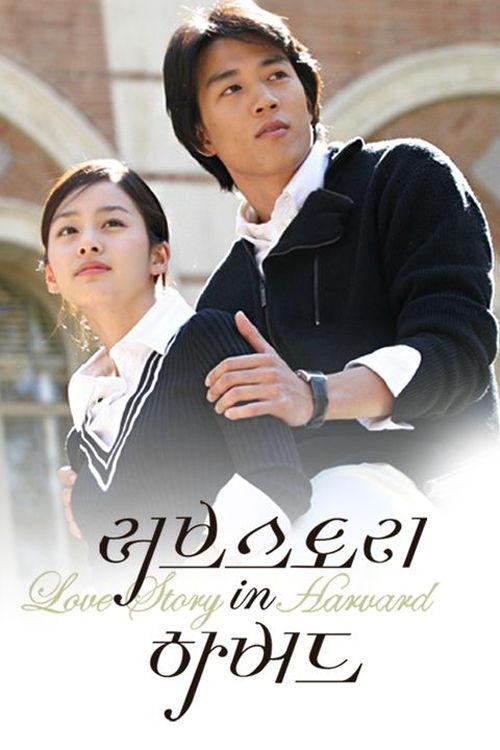 Love Story in Harvard poster