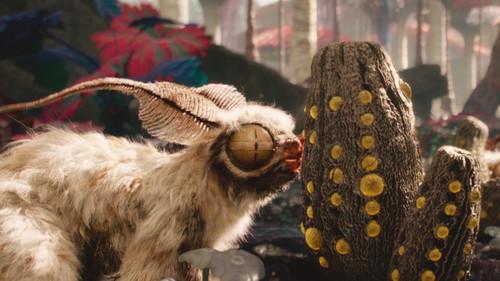 Alien Worlds Season 1 Episode 3 - Eden