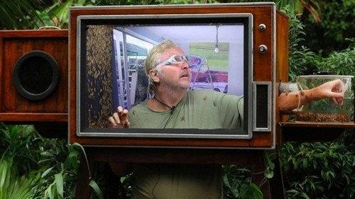 I'm a Celebrity...Get Me Out of Here! Season 13 Episode 12 - As Scream on TV