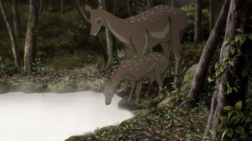 Mushi-Shi Season 2 Episode 9 - Valley of the Welling Tide