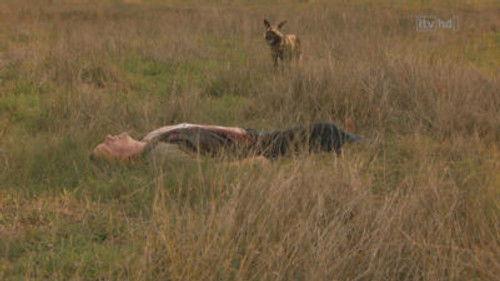 Wild at Heart Season 4 Episode 9 - Episode 9