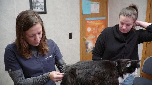 The Incredible Dr. Pol Season 23 Episode 7 - Season's Bleatings