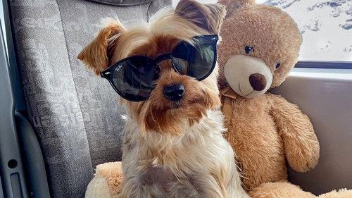 From bully to best friend Season 2 Episode 1 - Episode 1