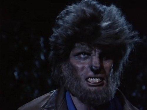 Highway to Heaven Season 4 Episode 5 - I Was a Middle Aged Werewolf