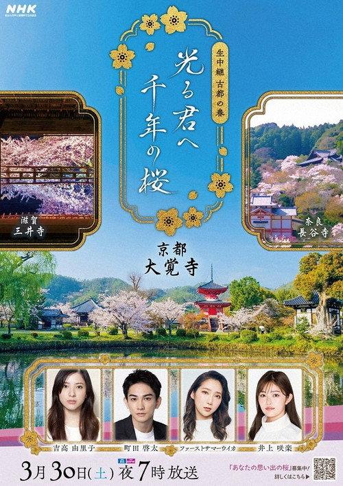 Spring in the Ancient Capitals of Japan poster