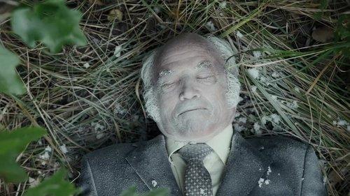 Vienna Crime Squad Season 10 Episode 15 - Episode 15