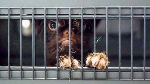 Airport Security: USA Season 1 Episode 9 - Episode 9