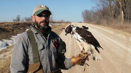 Nature Season 25 Episode 8 - Raptor Force