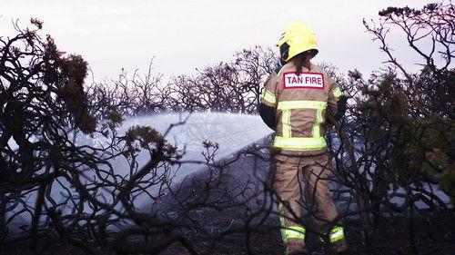 Background image for Four Seasons