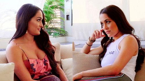 Total Bellas Season 4 Episode 5 - The Big Mistake