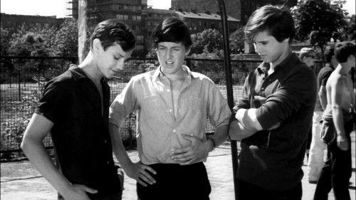 Wojna domowa Season 1 Episode 15 - Episode 15