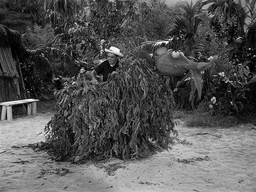 Gilligan's Island Season 1 Episode 20 - St. Gilligan and the Dragon