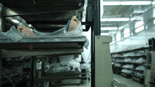 This Is Life with Lisa Ling Season 2 Episode 6 - America's Busiest Coroners