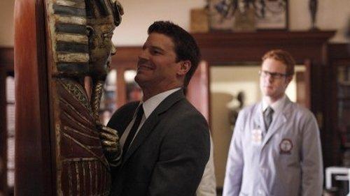 undefined Season 5 Episode 5 - A Night at the Bones Museum