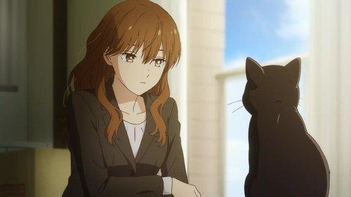 Background image for Cherry Blossom Meeting and a Coming Blizzard