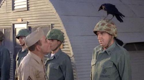 Gomer Pyle, U.S.M.C. Season 3 Episode 28 - The Crow Ganef