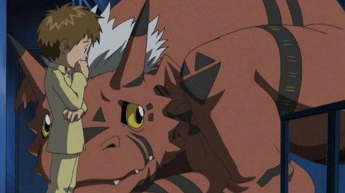 Digimon Tamers Season 1 Episode 9 - Not as Seen on TV