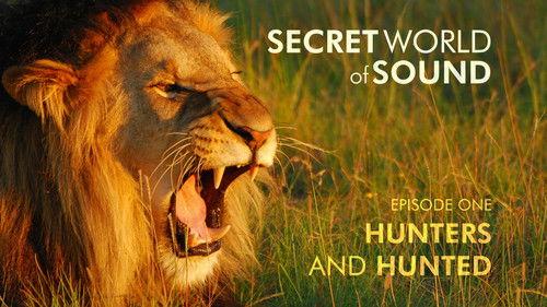 The Nature of Things Season 63 Episode 101 - Secret World of Sound: Hunters and Hunted