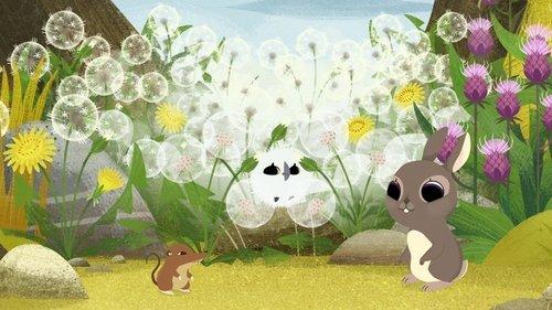 Puffin Rock Season 1 Episode 26 - Spot the Puffin